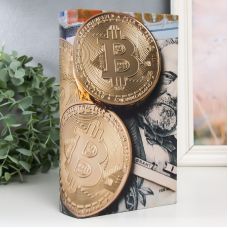 Safe-book cache "Bitcoin and dollar"